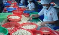 FTA Việt Nam-EAEU ‘mở cửa’ thị trường Belarus cho DN Việt